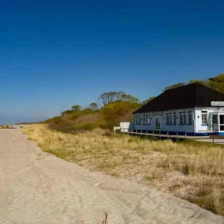 Weinrose 格拉尔-米里茨