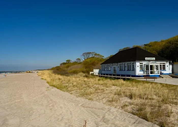 Weinrose 格拉尔-米里茨