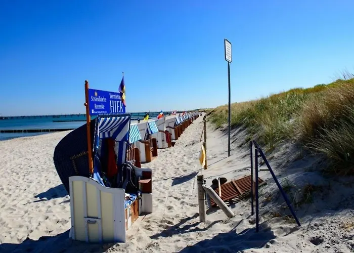 Weinrose * 格拉尔-米里茨